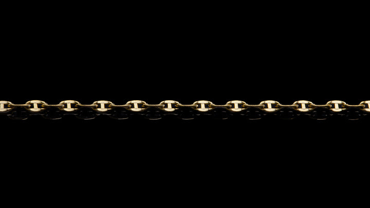 10K Gold Ballerina Link Chain