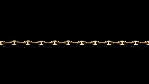 10K Yellow Gold Ballerina Link Chain