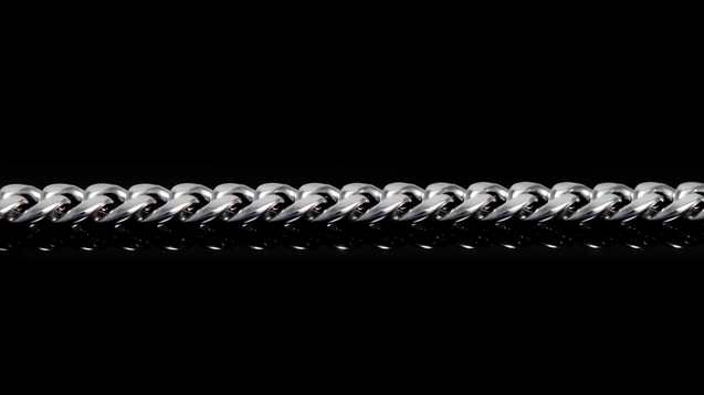 10K White Gold Leo Link Chain