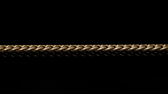 10K Yellow Gold Leo Link Chain