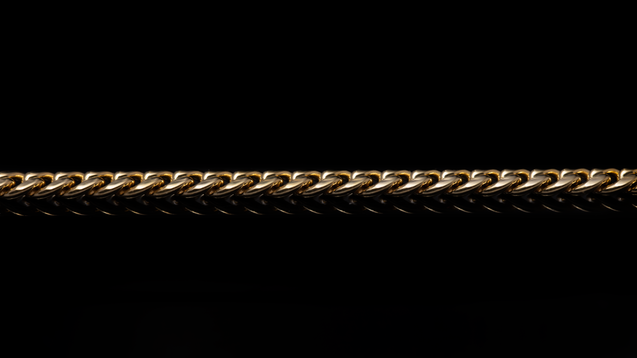 10K Yellow Gold Leo Link Chain