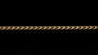 10K Yellow Gold Leo Link Chain